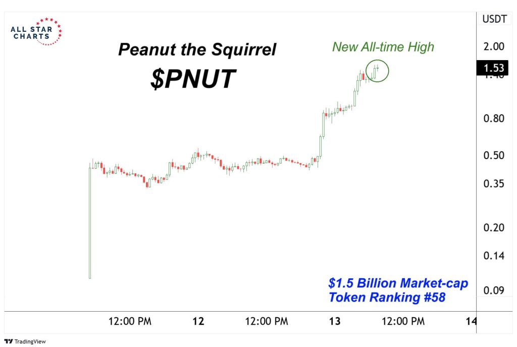 A chart illustrating the price trends of Peanut the Squirrel meme coin, highlighting its significant rise over time.