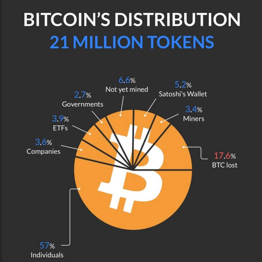A visual representation of Bitcoin's distribution, showing individual ownership, lost tokens, and various holder categories.